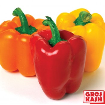 Poivron Rouge et Vert Laniere MEME HELENE 1 Kg KPL
