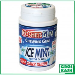 Chewing Gum Sans Sucre Ice Mint kosher lepessah RABBIN HOD