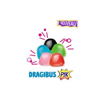 Dragibus Pik 230gr kosher BADATZ BETH YOSSEF et R WOLFF